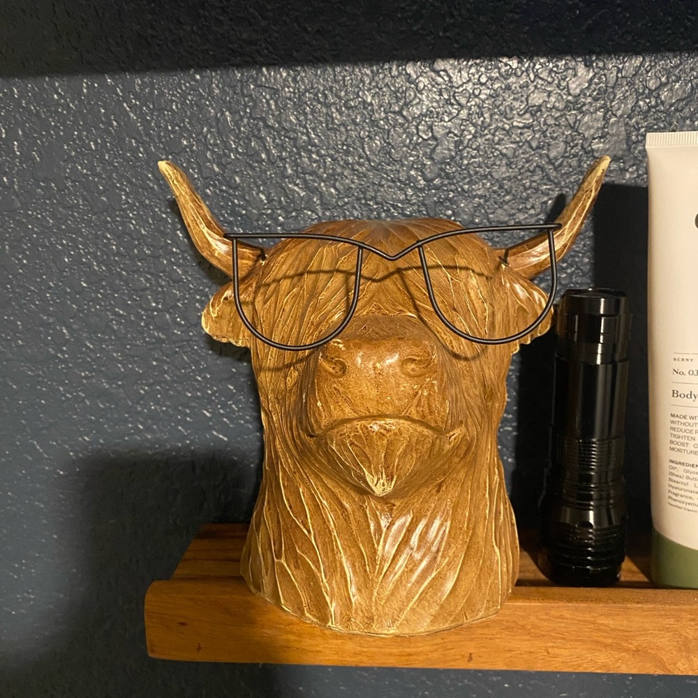 Highland Cow Head